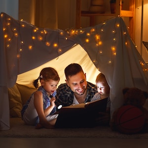 ROCKWOOL Safe'n'Sound Stone Wool Insulation for Superior Soundproofing & Fire Resistance